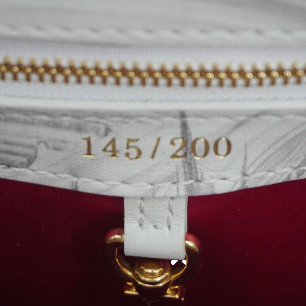 LOUIS VUITTON Artycapucines BB Huang Yuxing 145th Limited Edition Shoulder Bag - Picture 16 of 16